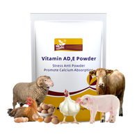 Miracle Aminovitamine Plus Bétail Ovins Bovins Électrolyte Vitamine C Supplément pour Améliorer l'Immunité des Volailles et du Bétail