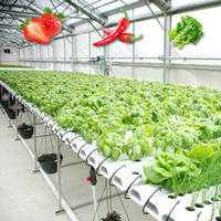Système hydroponique NFT intelligent pour l'agriculture verticale à haute efficacité avec contrôleur de solution nutritive pour gouttières PVC NFT