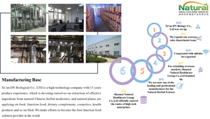 Bột Cỏ Dê Sừng Nguyên Chất 99.99% Themra Epimedium Macun - Product Image 5