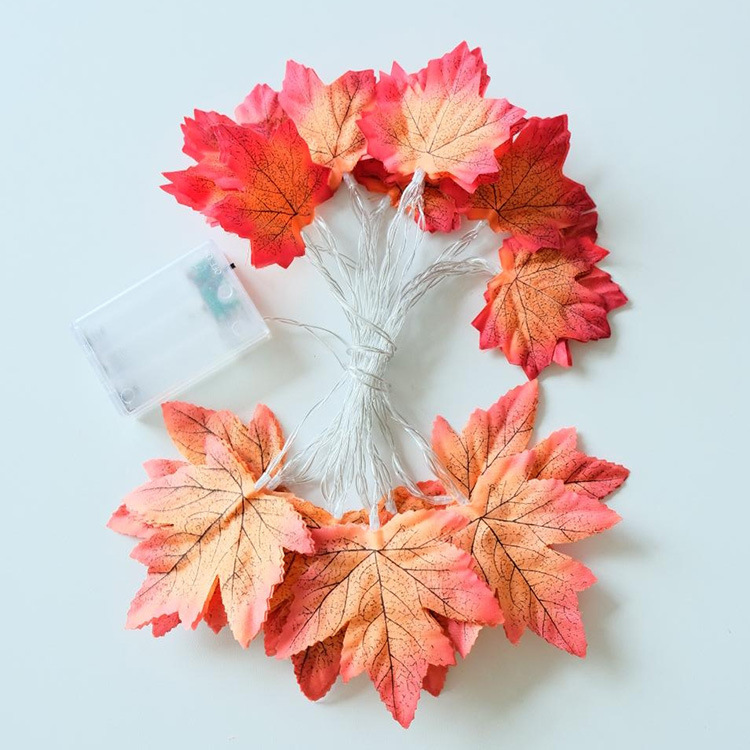 2. petit et grand érable