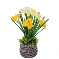 Tanaman Pot Bunga Daffodil Kuning & Putih Buatan, Bunga Narcissus Palsu dengan Pot Anyaman untuk Dekorasi Rumah di Meja Dalam Ruangan