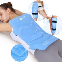 Compresse froide et chaude multifonction pour les hanches et le dos, sac de glace pour soulager la douleur, physiothérapie à domicile, coussin en flanelle rafraîchissant réutilisable, classe II