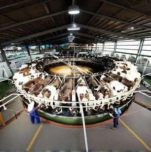 A basso costo di alta qualità struttura in acciaio leggero allevamento di suini durevole, allevamento di suini per la moderna mucca allevamento di suini capannone - Product Image 1