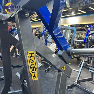 Macchina Lat Pulldown Commerciale Kasihi con Caricamento a Piastre e Bracci Indipendenti, Design a Doppio Braccio per Correggere l'Imbilanciamento Muscolare della Schiena - Product Image 5