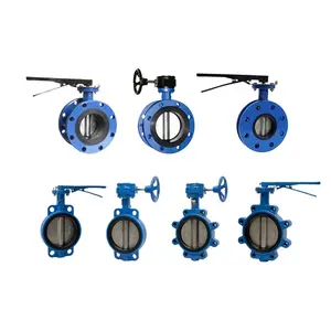 API/ANSI/DIN/JIS/ASME/Awwa EPDM PTFE PFA Rubber Lining Ductile Iron Cast Iron Wafer Lug Butterfly Valves