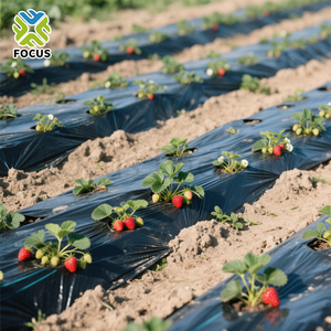 Phân hủy sinh học <span class=keywords><strong>mulch</strong></span> phim nhựa cao cấp nông nghiệp mulching phim nhựa nông nghiệp - Product Image 6