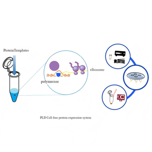 प्रोमो पीएलसी सेल-मुक्त प्रोटीन अभिव्यक्ति किट 1 मिली-80 स्टोरेज - Product Image 4