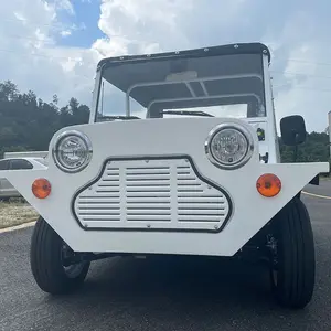 12 Cores Básicas Para Opção Certificado Ecc Nova Energia Rua Legal Alumínio Elétrico Moke Carro Jeep e Moke