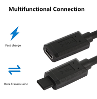 0.3M USB Type C Femelle à Mâle Full-Plastic Plug Test Cable Support 10GBbps Rate