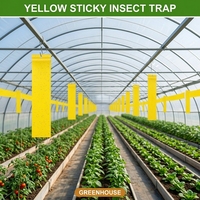 Piège collant solide et écologique pour insectes, imperméable, en plastique, tue-mouches, pour pucerons, plaque adhésive, attrape-mouches blancs, lutte naturelle contre les parasites
