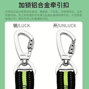 Correa Retráctil de Alta Elasticidad a Prueba de Explosiones para Perros Grandes con Chaleco - Product Image 4