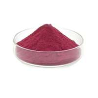 Extrait de plantes de baies d'aronia en poudre, riche en anthocyanes, colorants, améliorateurs nutritionnels, certifié casher et halal, complément alimentaire santé