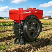 Moteur diesel monocylindre refroidi par eau Changfa ZS1115 à arbre vertical pour l'exploitation minière aurifère en Afrique (vente en gros)