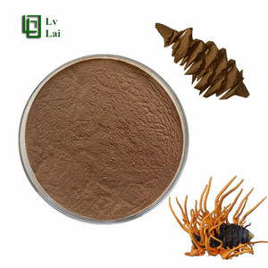 קורדיקאפים מיליטריליאריס פוליסכריד 50% קורדיקאפים מיליטריליאריס תמצית מזון טבעי טהור - Product Image 2