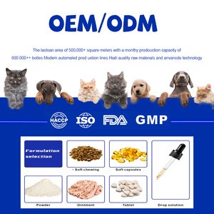 Gouttes de supplément de <span class=keywords><strong>vermifuge</strong></span> à base de plantes liquides naturelles avec traitement à large spectre de probiotiques pour la santé digestive des chats - Product Image 6