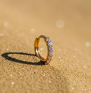 Boucles d'oreilles en titane G23 avec zircon inférieur, <span class=keywords><strong>boucle</strong></span> fermée, sans couture, multifonctionnelles, <span class=keywords><strong>pour</strong></span> le nez, le <span class=keywords><strong>cartilage</strong></span> - Product Image 2