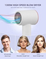 Mini-sèche-cheveux professionnel à séchage rapide avec diffuseur, moteur BLDC, fonctionnement silencieux, usage hôtelier, pour cheveux bouclés, épais ou fins, avec buse concentrateur