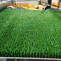 Tapis de sport réversible en PP lavable et écologique, fabriqué à la machine, pour la prospection d'or, gazon artificiel pour terrain de sport
