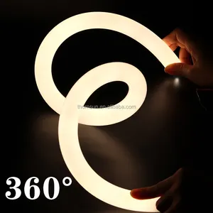 360 gradi intorno 25MM IP67 ha condotto le luci al Neon della striscia della flessione della luce 24V della corda al Neon