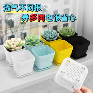 Juego de Macetas para Suculentas Qinfeng, Maceta de Plástico Blanca de 8 cm para Escritorio, Jardinería en Casa, Transpirable, Resistente y Duradera - Product Image 2