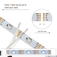 Tira de Luces LED RGBIC SMD5050 de 6W, USB, Direccionable, para Retroiluminación de TV y Computadora