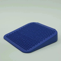 Coussin tactile gonflable en plastique pour l'entraînement à l'intégration sensorielle des enfants, utilisation en maternelle, tapis de marche, plaque d'équilibre