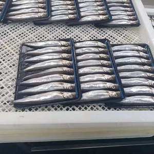 Mallotus Villosus <span class=keywords><strong>Shishamo</strong></span> ปลากระพงแช่แข็ง - Product Image 2