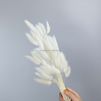 Fleurs de glycine blanchies, fleurs séchées et préservées de couleur blanche, fleurs d'amarante et de fougère pour bouquet de mariage, décoration murale et intérieure
