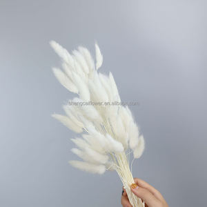 漂白藤の蔓 ホワイトカラー ドライフラワー プリザーブドフラワー アマランサス シダ ウェディングブーケ 壁掛け ホームデコレーション用 - Product Image 5