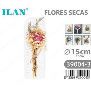 Fiori Secchi ILAN, Bouquet Decorativo di Circa 15 cm - Product Image 3