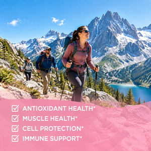 Cápsulas de Moringa Más Vendidas, Mezcla de Moringa Oleifera, Apoya el Sistema Inmunológico y la Salud Digestiva, Cápsulas de Hoja de Moringa Oleifera - Product Image 6