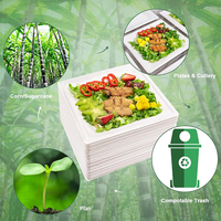 Vente en gros d'assiettes de fruits jetables sans PFAS assiette carrée compostable biodégradable plateau de pulpe de bagasse
