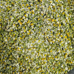 Té <span class=keywords><strong>de</strong></span> Flores <span class=keywords><strong>de</strong></span> <span class=keywords><strong>Manzanilla</strong></span> Secas <span class=keywords><strong>de</strong></span> Alta Calidad, Té <span class=keywords><strong>de</strong></span> Flores Naturales Secas con Sabor Natural, Té Herbal 100% Natural - Product Image 3