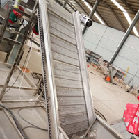 Ligne de nettoyage automatique professionnelle à grande échelle pour légumes (choux, épinards) – Machines de traitement des fruits et légumes