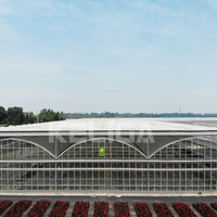 Serre commerciale multi-spans de 1000 m2 pour l'agriculture à grande échelle