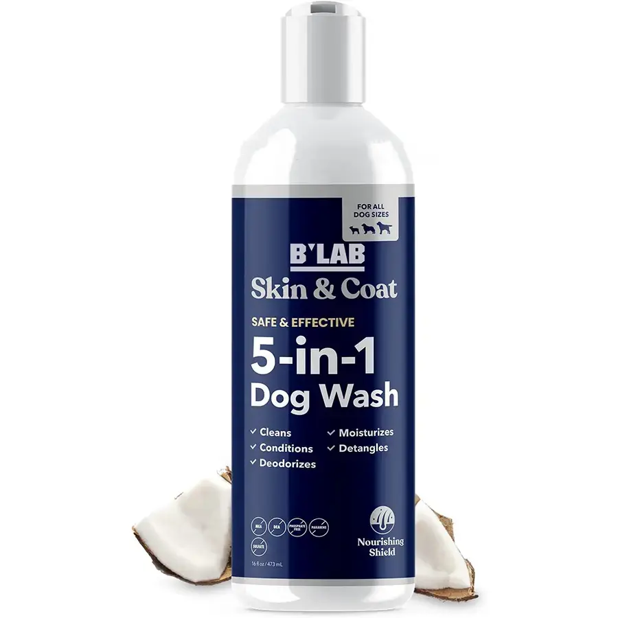 Private Label Pet Shampoo farina d'avena cane pulci Shampoo per cani delicato ipoallergenico nutriente secco Shampoo per la pelle sensibile per cani