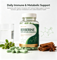 Capsules végétales à marque privée OEM Berberine 1200mg avec cannelle de Ceylan pour le soutien immunitaire et métabolique