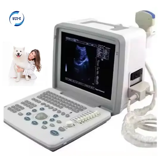 Veterinaire Echografie Medische Instrumenten Dierenarts Zwart-Wit Volledig Digitale Led Echografie Scanner