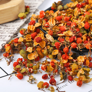 Fleur d'Albizia séchée en gros, matière première <span class=keywords><strong>He</strong></span> Huan Hua pour tisane, qualité alimentaire, fleur d'<span class=keywords><strong>arbre</strong></span> de soie en vrac, naturelle - Product Image 2