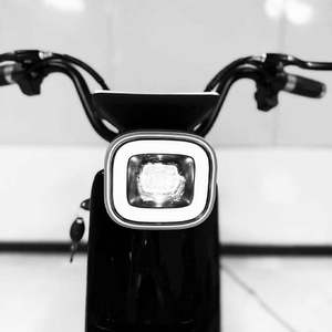 Batterie au plomb 48V/60V, meilleurs vélos électriques pour les trajets domicile-travail, vélo électrique urbain pour les familles - Product Image 5