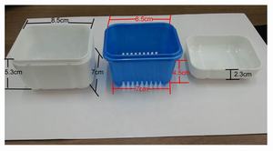 Boîte de prothèses dentaires en plastique de haute qualité, approuvé CE, 10 pièces - Product Image 4