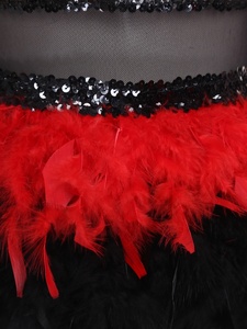 Traje de Baile de <span class=keywords><strong>Tango</strong></span> para Mujer, Traje de Rumba Cha-Cha, Body con Plumas, Leotardo, Mono para Actuaciones de Baile de Jazz y Latino - Product Image 4