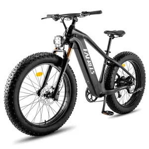 EU Stock Free Shipping Tax Free Fafrees M Carbon-fiber Fat-tire Ebike Electric Road Bike F26 Carbon for Adults Lithium Battery