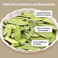 Té de Hojas de Senna Pura de Marca Privada OEM, Té para Limpiar el Colon, Té Desintoxicante, Té Herbal para Adelgazar y Controlar el Peso, Venta al por Mayor