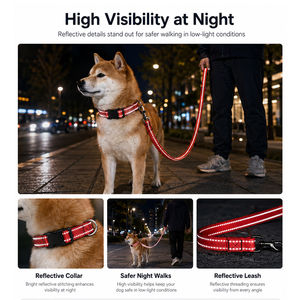 Ensemble collier et laisse pour chien en nylon réfléchissant, laisse réglable pour animaux de compagnie, poignée rembourrée, quincaillerie métallique pour les promenades quotidiennes - Product Image 1