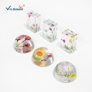 Spécimen de fleur emboîté dans de la résine hémisphérique de 47 mm, ornement de fleur séchée, cadeau exquis, fabricant de spécimens. - Product Image 2