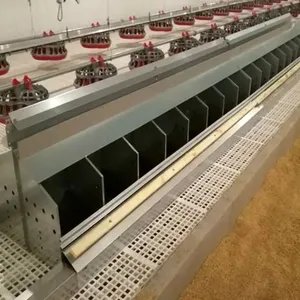 Automatic Layer Nest System in Poultry Flooring Farm Auto Laying Nesting Box with Automatic Egg Collection Conveyor