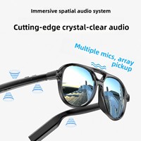 Lunettes caméra IA OEM avec caméra 8MP, traduction IA, appels et notes de réunion pour les voyages d'affaires et les marques de dispositifs connectés intelligents