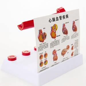 PVC kualitas tinggi model dokumenter pembuluh darah sains medis individual dan intrumen - Product Image 3