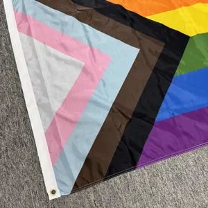 Versandbereiter 3 x 5 FT Progress-Pride-Flagge 11-farbig wasserdicht bisexuell LGBT nicht-binär Lesben-Gay-Transgender-Prides